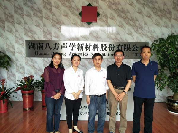 湖南八方聲學(xué)新材料股份有限公司