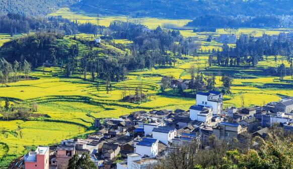 從傳統(tǒng)畜牧到數字化養(yǎng)殖