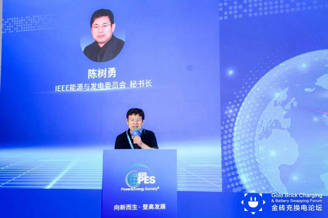 IEEE PES能源與發(fā)電委員會(huì)秘書(shū)長(zhǎng)陳樹(shù)勇