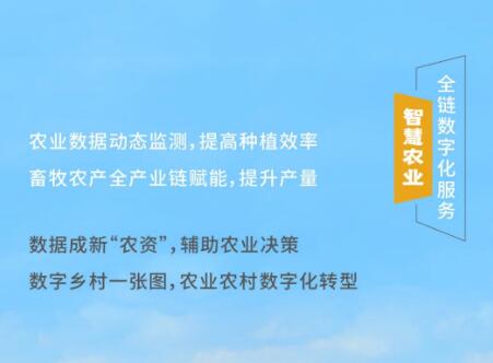 大華股份數(shù)智連民生 讓鄉(xiāng)村生活更美好