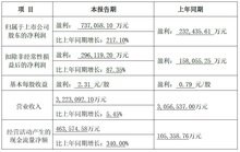 大華股份發(fā)布2023年度業(yè)績預(yù)告：營收322.31億元，業(yè)績穩(wěn)步增長