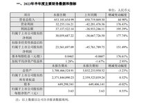 捷順科技公布上半年業(yè)績(jī)，營(yíng)收6.53億元，同比增長(zhǎng)44.9%