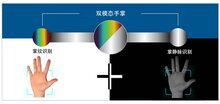 加速城市數(shù)字化！多模態(tài)手掌識(shí)別技術(shù)引領(lǐng)場(chǎng)景創(chuàng)新