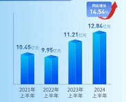 王力安防2024年半年度報(bào)告