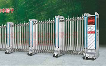 電動(dòng)伸縮門 - 電動(dòng)門