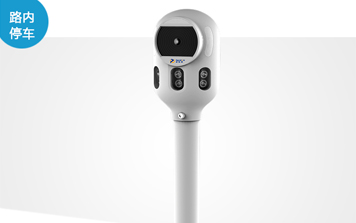 車牌識(shí)別系統(tǒng) - SNT-SC600-VS路內(nèi)停車識(shí)別一體機(jī)