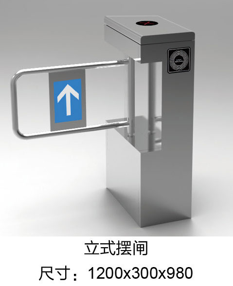 立式擺閘