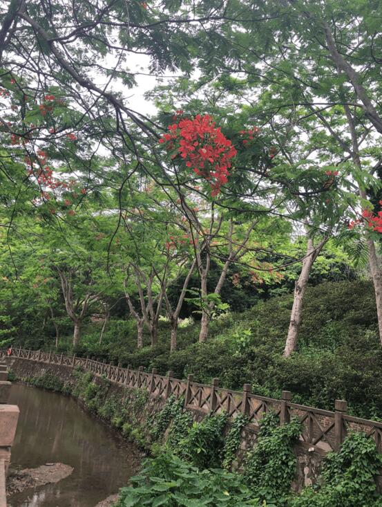 青山綠水 鳥語(yǔ)花香