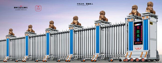 聚財(cái)門001(單排)伸縮門