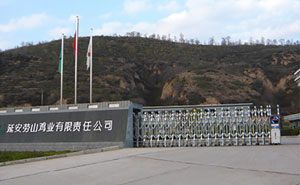 延安勞山雞業(yè)有限責任公司伸縮門案例 - 中出網(wǎng)-智能出入口與停車充電門戶
