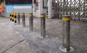 南海區(qū)獅山鎮(zhèn)七甫小學升降柱案例