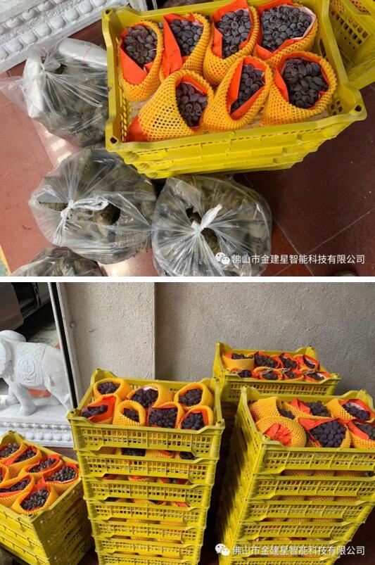 端午傳情，濃情粽香