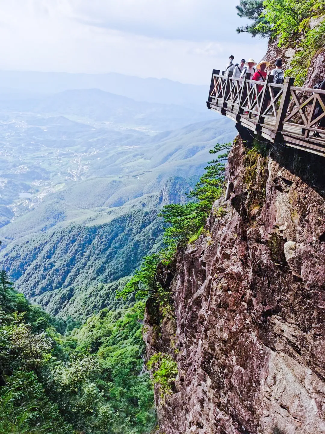 滿目蒼翠，對久居城市鋼鐵森林的人來說，這顏色極為舒適