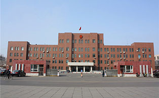 沈陽市蘇家屯區(qū)人民政府伸縮門工程案例