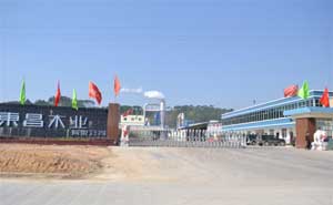 欽州市大寺東昌木業(yè)電動(dòng)伸縮門案例