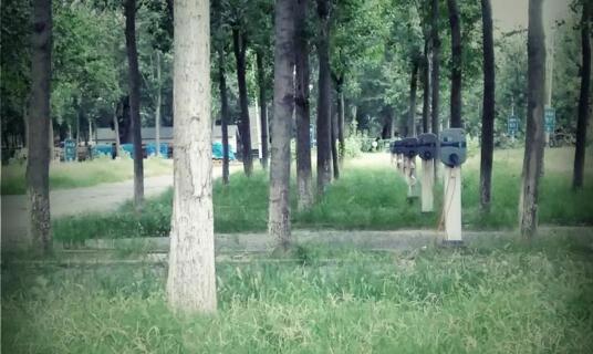 使用率不足三成 使用率不足三成