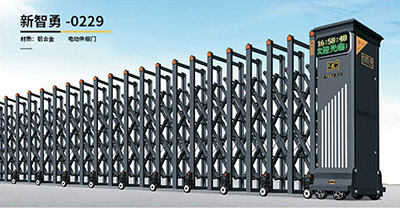 其他 - 新智勇-0229