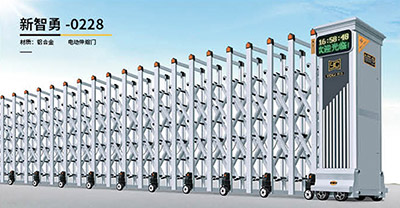 其他 - 新智勇-0228