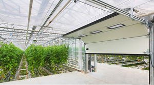 晨農(nóng)集團溫室提升門