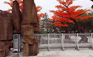 湖北陽新藍(lán)天雙語學(xué)校伸縮門工程案例