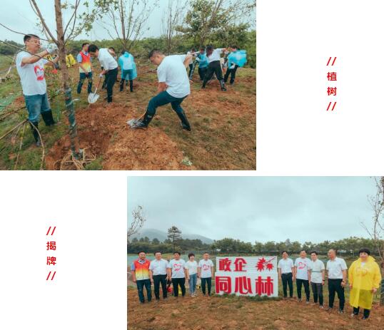 江蘇國強植樹和揭牌