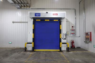 卷簾快速冷庫門 