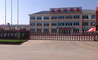 朱口集團紅秀山磁業(yè)伸縮門工程案例