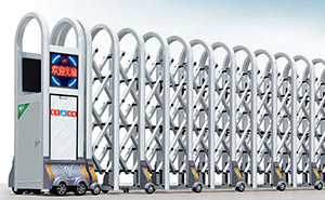 鋁合金伸縮門(mén) - 大彎網(wǎng)花1366-A鋁合金伸縮門(mén)