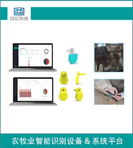 智能畜牧測溫耳標管理系統(tǒng)