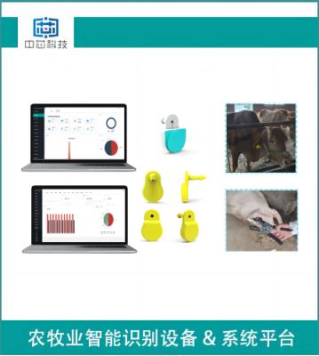 其他 - 智能畜牧測溫耳標(biāo)管理系統(tǒng)