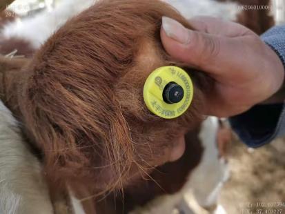 保險公司“養(yǎng)殖險”監(jiān)管平臺 - 中出網(wǎng)-智能出入口與停車充電門戶