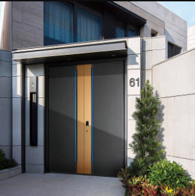 其他 - 別墅門(mén)-雅帝天際