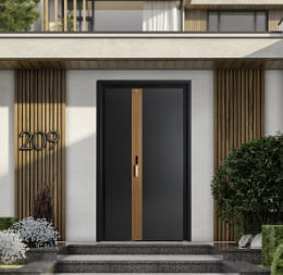 其他 - 系統(tǒng)門(mén)-B587