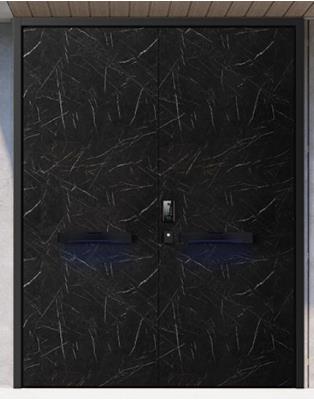 入戶門-楓丹白露DK002