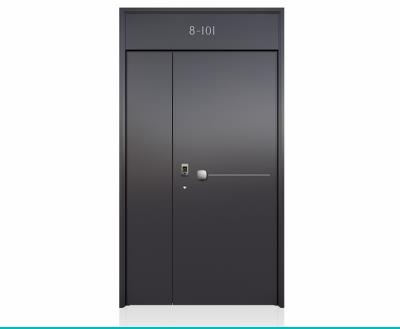 其他 - 裝甲門LJ288