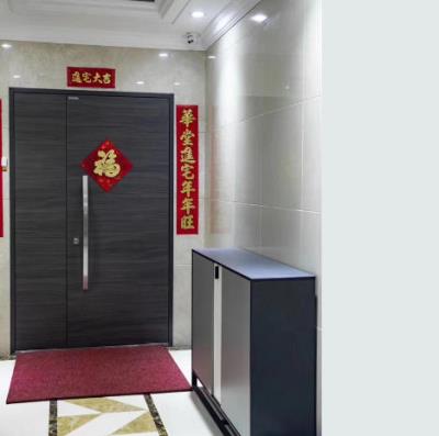 其他 - 頂級防盜門