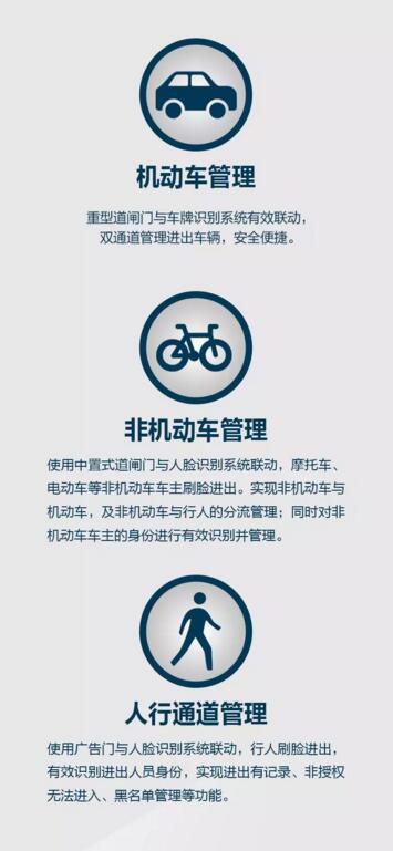 機動車道、非機動車道、人行通道