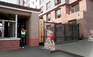 黑龍江平安家園智能無軌懸浮門工程案例