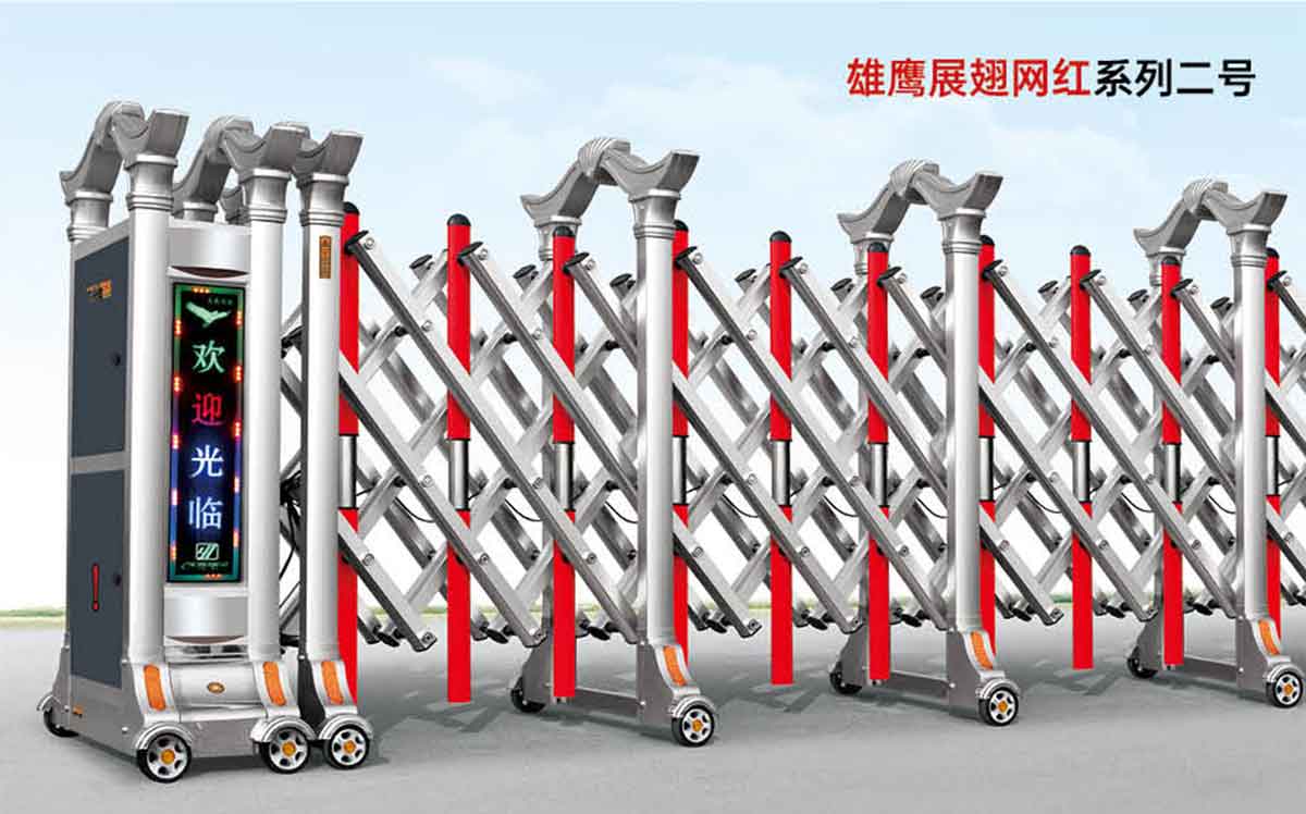 雄鷹展翅網(wǎng)紅系列二號(hào)