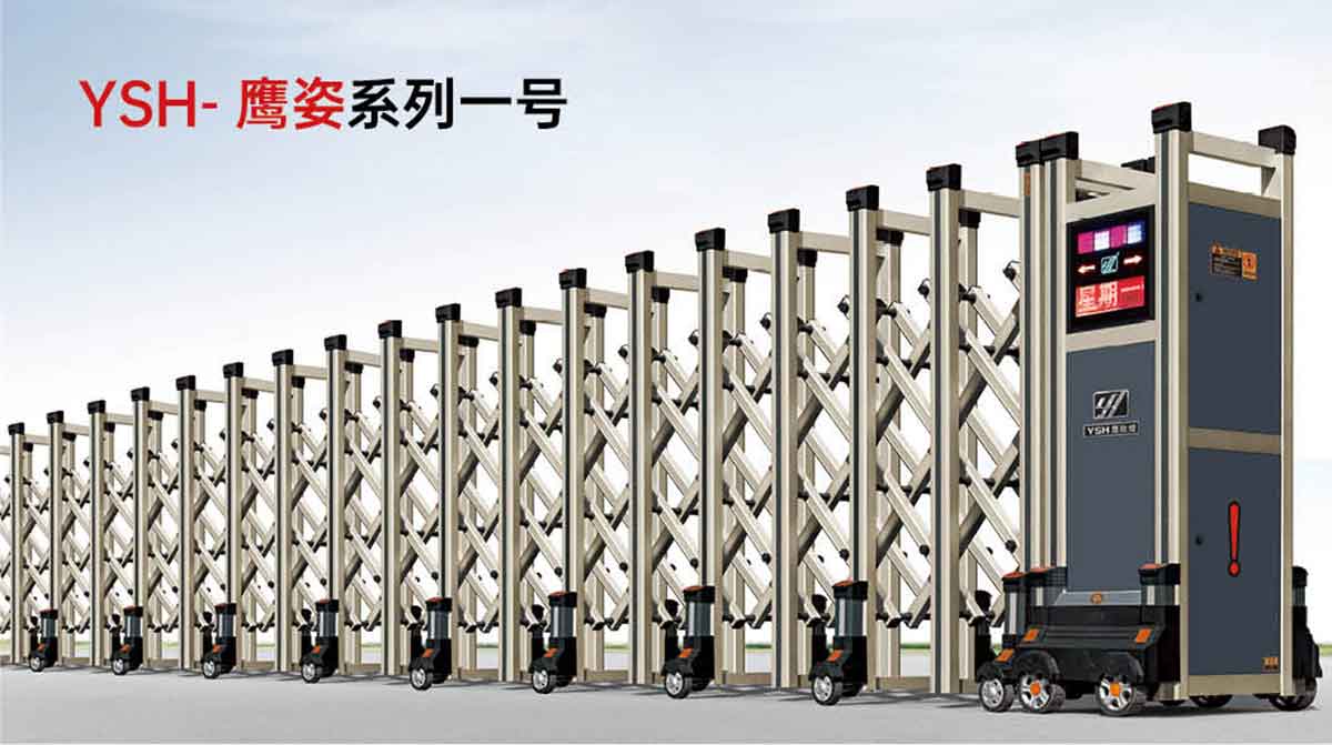 YSH-鷹姿系列一號