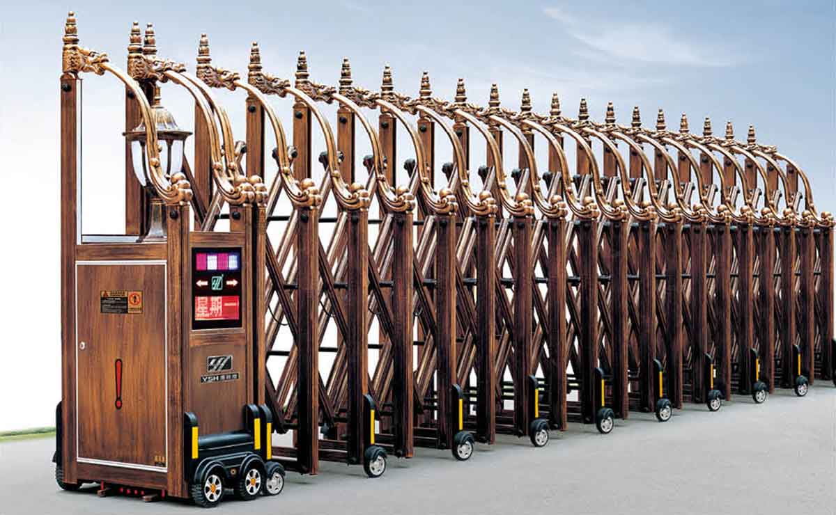 東方神龍網(wǎng)花一號