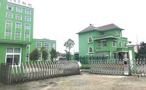 孝感蘄春李時珍醫(yī)藥集團電動伸縮門案例