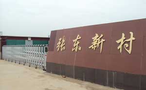 衡水市景縣龍華鎮(zhèn)張東新村新居民小區(qū)電動(dòng)伸縮門案例