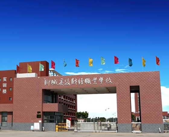 聊城高級財(cái)經(jīng)學(xué)校電動伸縮門案例 - 中出網(wǎng)-智能出入口與停車充電門戶