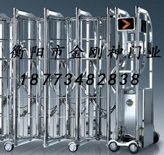 精鋼門309電動(dòng)伸縮門