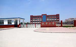 耿井小學(xué)伸縮門案例