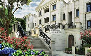 金科王府鐵藝大門案例 - 中出網(wǎng)-智能出入口與停車充電門戶