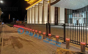 廈門會展中心金雞百花館升降柱案例