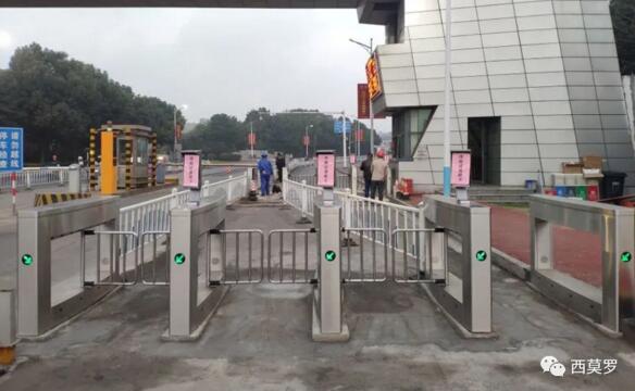 南京鋼鐵-人臉識別戶外擺閘