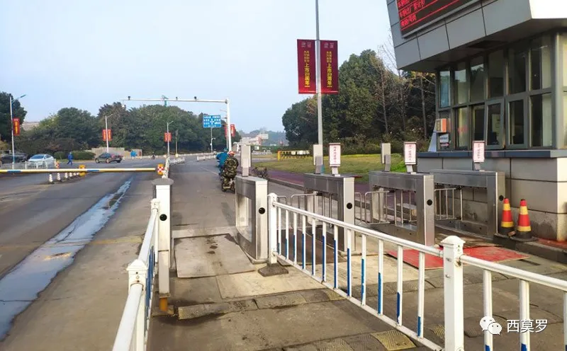 南京鋼鐵-人臉識別戶外擺閘